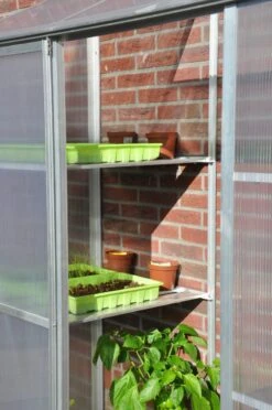 Royal Well Schappenset Mini 2 Stuks