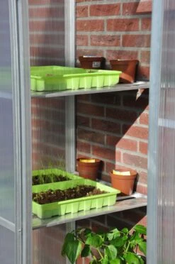 Royal Well Schappenset Mini 2 Stuks -Tuingereedschaps Winkel 8718226339195 3 Aangepast