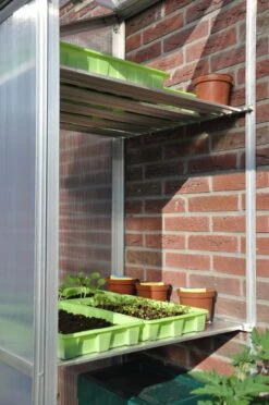 Royal Well Schappenset Mini 2 Stuks -Tuingereedschaps Winkel 8718226339195 5 Aangepast