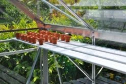 Royal Well Kweekschap Allu Sower 200 X 32,5 Cm