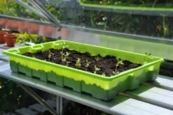 Royal Well Kweekschap Allu Sower 150 X 32,5 Cm -Tuingereedschaps Winkel 8718226339201 3 Aangepast