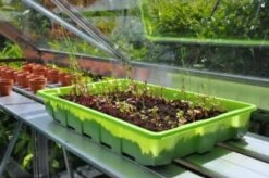 Royal Well Kweekschap Allu Sower 200 X 32,5 Cm 10 Royal Well Kweekschap Allu Sower 200 X 32,5 Cm -Tuingereedschaps Winkel 8718226339201 4 Aangepast 1