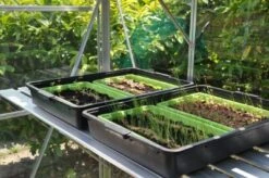 Royal Well Kweektafel Alu Grower 200 X 62,5 Cm -Tuingereedschaps Winkel 8718226339249 11 Aangepast