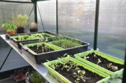 Royal Well Kweektafel Alu Grower 200 X 62,5 Cm -Tuingereedschaps Winkel 8718226339249 4 Aangepast