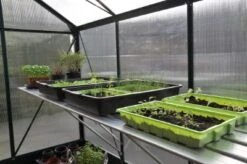 Royal Well Kweektafel Alu Grower 250 X 62,5 Cm 23 Royal Well Kweektafel Alu Grower 250 X 62,5 Cm -Tuingereedschaps Winkel 8718226339256 10 Aangepast