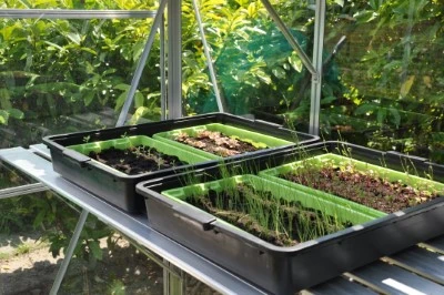 Royal Well Kweektafel Alu Grower 250 X 62,5 Cm 13 Royal Well Kweektafel Alu Grower 250 X 62,5 Cm - Afbeelding 11