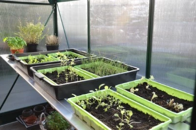 Royal Well Kweektafel Alu Grower 250 X 62,5 Cm 7 Royal Well Kweektafel Alu Grower 250 X 62,5 Cm - Afbeelding 5