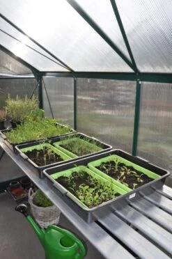 Royal Well Kweektafel Alu Grower 250 X 62,5 Cm