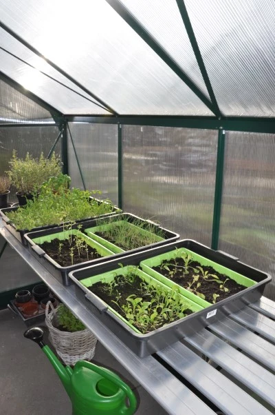 Royal Well Kweektafel Alu Grower 250 X 62,5 Cm 3 Royal Well Kweektafel Alu Grower 250 X 62,5 Cm