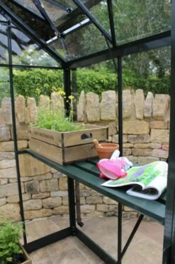 Royal Well Tuinkas Birdlip 64 Groen Gecoat Veiligheidsglas 3 Mm -Tuingereedschaps Winkel 8718226339713 3 Aangepast