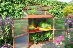 Royal Well Patiokas Sweet Basil