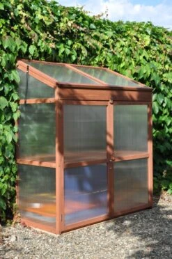 Royal Well Patiokas Sweet Basil -Tuingereedschaps Winkel 8719214380120 10 Aangepast