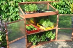 Royal Well Patiokas Sweet Basil -Tuingereedschaps Winkel 8719214380120 11 Aangepast