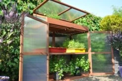 Royal Well Patiokas Sweet Basil -Tuingereedschaps Winkel 8719214380120 3 Aangepast