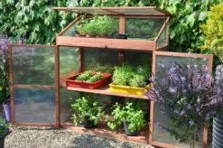 Royal Well Patiokas Sweet Basil -Tuingereedschaps Winkel 8719214380120 4 Aangepast