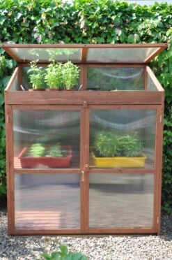 Royal Well Patiokas Sweet Basil -Tuingereedschaps Winkel 8719214380120 6 Aangepast