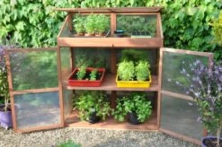 Royal Well Patiokas Sweet Basil -Tuingereedschaps Winkel 8719214380120 7 Aangepast