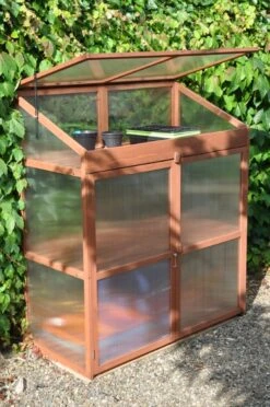 Royal Well Patiokas Sweet Basil -Tuingereedschaps Winkel 8719214380120 8 Aangepast