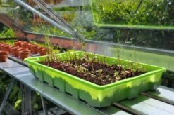 Royal Well Kweekschap Allu Shower 250 X 32,5 Cm -Tuingereedschaps Winkel 8719214381486 4 Aangepast