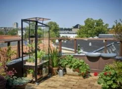 Royal Well Patiokas City Garden Veiligheidsglas 4mm Zwart -Tuingereedschaps Winkel 8719214381493 10 Aangepast