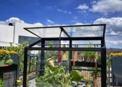 Royal Well Patiokas City Garden Veiligheidsglas 4mm Zwart -Tuingereedschaps Winkel 8719214381493 11 Aangepast