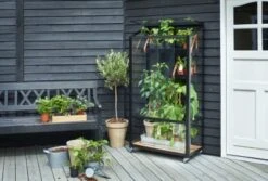 Royal Well Patiokas City Garden Veiligheidsglas 4mm Zwart