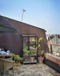 Royal Well Patiokas City Garden Veiligheidsglas 4mm Zwart -Tuingereedschaps Winkel 8719214381493 4 Aangepast