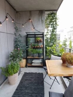 Royal Well Patiokas City Garden Veiligheidsglas 4mm Zwart -Tuingereedschaps Winkel 8719214381493 5 Aangepast