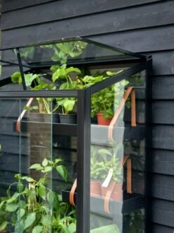 Royal Well Patiokas City Garden Veiligheidsglas 4mm Zwart -Tuingereedschaps Winkel 8719214381493 6 Aangepast