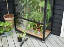 Royal Well Patiokas City Garden Veiligheidsglas 4mm Zwart -Tuingereedschaps Winkel 8719214381493 7 Aangepast