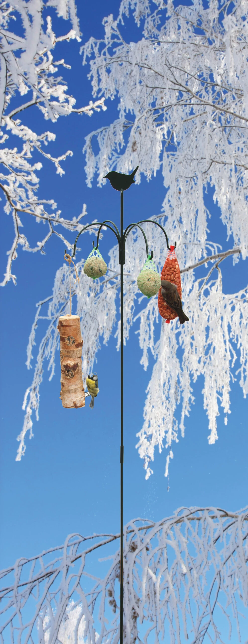 Esschert Vogel Voederhanger FB145 5 Esschert Vogel Voederhanger FB145 - Afbeelding 3