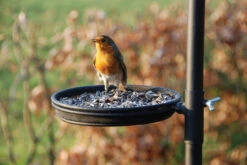 Esschert Vogel Voederstation FB150 -Tuingereedschaps Winkel FB150 Seed Dish