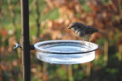 Esschert Vogel Voederstation FB150 -Tuingereedschaps Winkel FB150 Water Dish