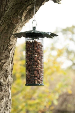 Esschert Vogel Voedersilo Bladerdak Pinda -Tuingereedschaps Winkel FB483 41