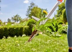 Gardena Onkruidsteker Lang -Tuingereedschaps Winkel Gardena onkruisteker lang 9