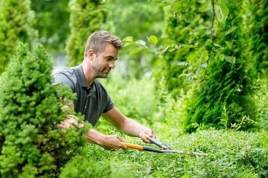 Fiskars Heggenschaar HSX92 Powergear Transmissie - 63 Cm 6 Fiskars Heggenschaar HSX92 Powergear Transmissie - 63 Cm - Afbeelding 4