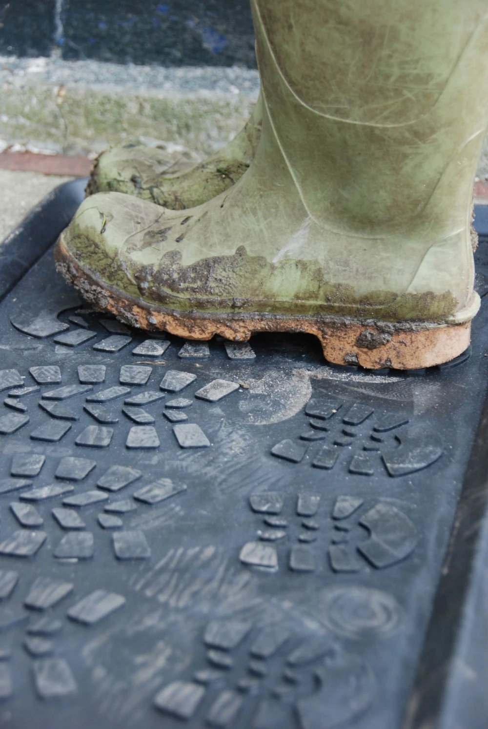 Esschert Laarzenmat 5 Esschert Laarzenmat - Afbeelding 3