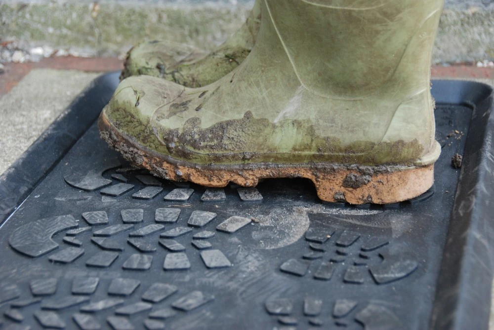 Esschert Laarzenmat 6 Esschert Laarzenmat - Afbeelding 4