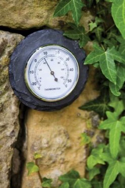 Esschert Thermometer Leisteen Rond -Tuingereedschaps Winkel LS226