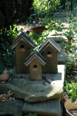 Esschert Vogelhuis Koolmees Bitum Dak -Tuingereedschaps Winkel NK01 41