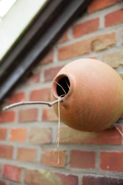 Esschert Vogelpot Vogelpot Rond Mezen En Mussen 31 Esschert Vogelpot Vogelpot Rond Mezen En Mussen -Tuingereedschaps Winkel NK14 41