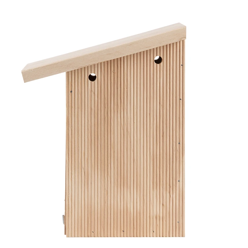 Esschert Nestkast Pimpelmees In Cadeaudoos 5 Esschert Nestkast Pimpelmees In Cadeaudoos - Afbeelding 3