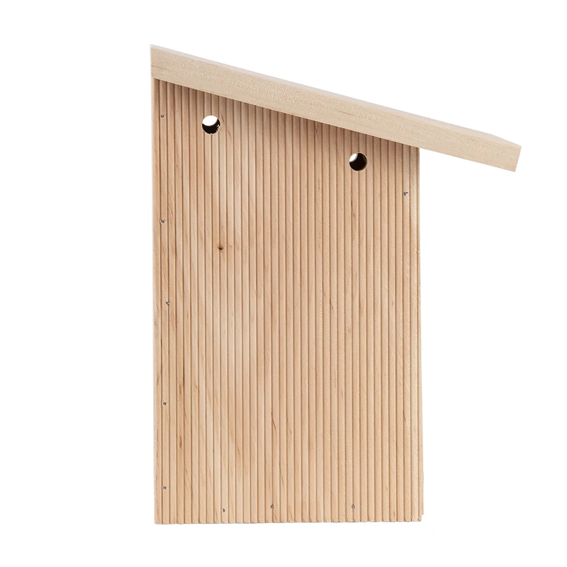 Esschert Nestkast Pimpelmees In Cadeaudoos 9 Esschert Nestkast Pimpelmees In Cadeaudoos - Afbeelding 7