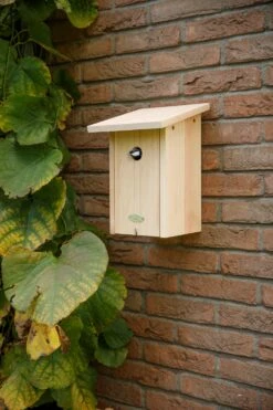 Esschert Nestkast Roodborst In Cadeaudoos -Tuingereedschaps Winkel NK95 40