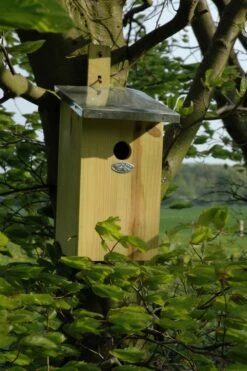 Esschert Vogelhuis Observatienestkast 25 Esschert Vogelhuis Observatienestkast -Tuingereedschaps Winkel NKO 40