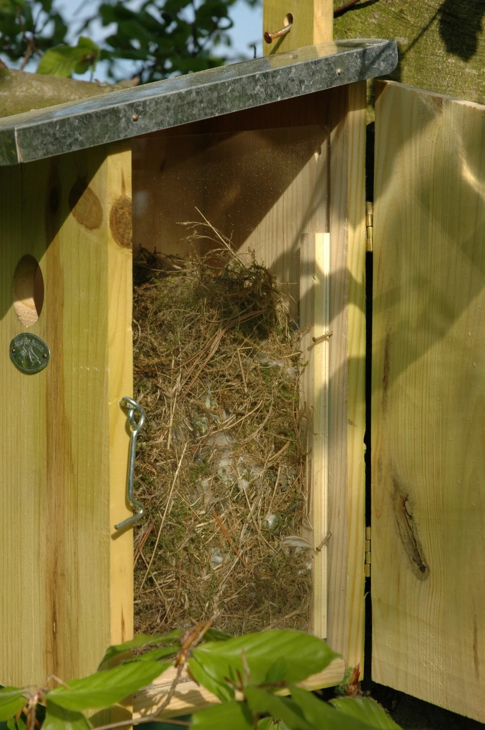 Esschert Vogelhuis Observatienestkast 12 Esschert Vogelhuis Observatienestkast - Afbeelding 10