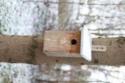 Esschert Vogelhuis Observatienestkast 22 Esschert Vogelhuis Observatienestkast -Tuingereedschaps Winkel NKO 44