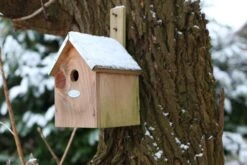 Esschert Vogelhuis Pimpelmees 17 Esschert Vogelhuis Pimpelmees -Tuingereedschaps Winkel NKP 40