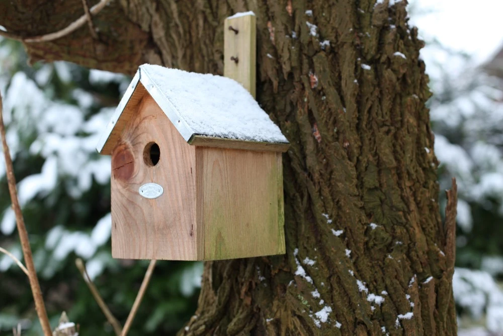 Esschert Vogelhuis Pimpelmees 9 Esschert Vogelhuis Pimpelmees - Afbeelding 7