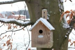 Esschert Vogelhuis Pimpelmees 19 Esschert Vogelhuis Pimpelmees -Tuingereedschaps Winkel NKP 42